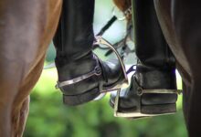 Choisir des bottes d'équitation sûres