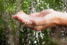 Comment désinfecter l'eau de pluie pour la boisson