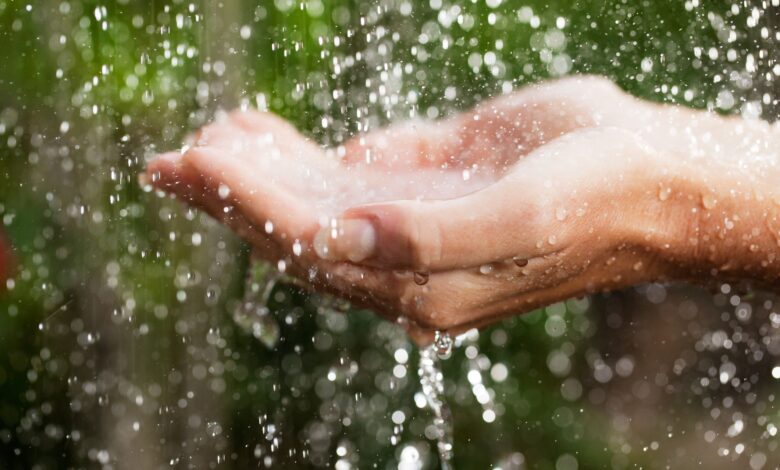 Comment désinfecter l'eau de pluie pour la boisson