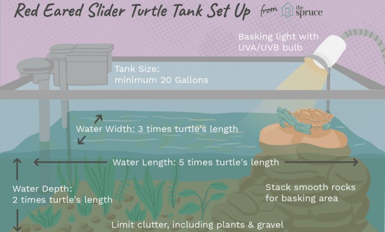 Comment installer un réservoir pour votre tortue à oreilles rouges