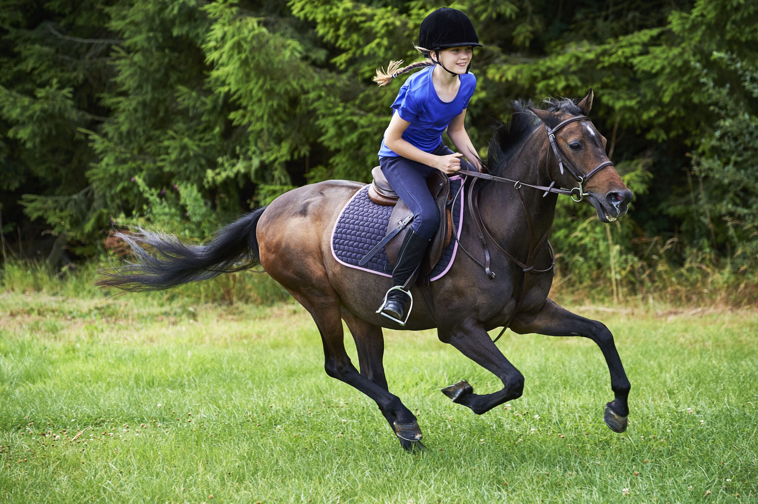 Comment monter à cheval en toute sécurité  Troovez.com