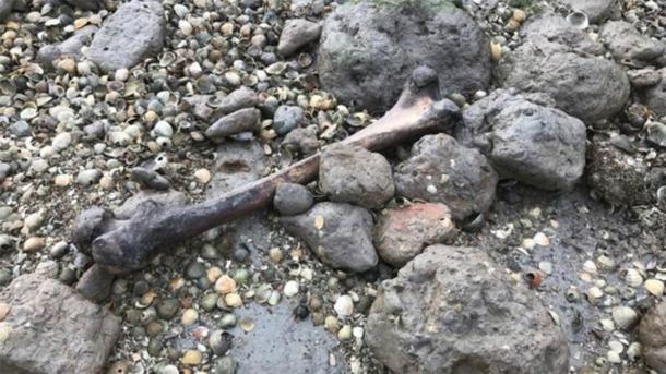 L'élimination continue des os humains sur les rives de l'île de Deadman a inspiré une réputation de surnaturel. (BBC)
