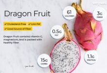 Informations nutritionnelles et bienfaits pour la santé des fruits du dragon