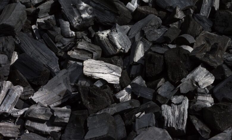 Le charbon en bref