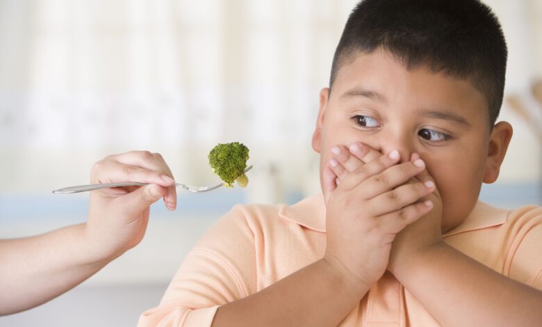 Le rôle du conditionnement classique dans les aversions gustatives