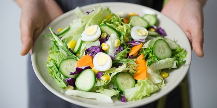 Les 100 Meilleures Citations Sur L Alimentation Troovez Com Les 100 Meilleures Citations Sur L Alimentation Troovez Com