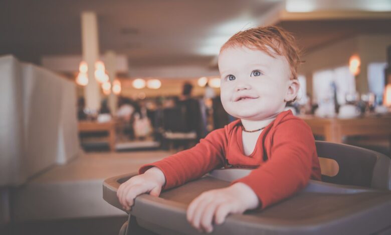 L'expérience du Petit Albert