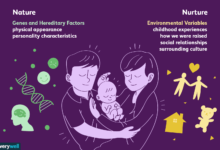 Nature vs. Nourriture : Gènes ou environnement ?