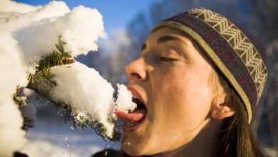 Peut-on manger de la neige sans danger ?