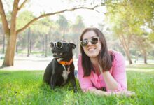 Psychologie comparative et comportement animal