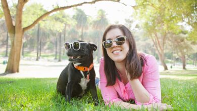 Psychologie comparative et comportement animal