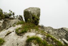 Quatre critères pour identifier une roche