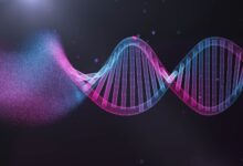 Qu'est-ce que la technologie de l'ADN recombinant ?