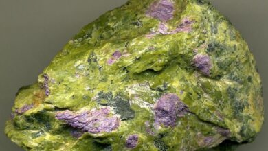 Qu'est-ce qu'une roche ophiolitique ?