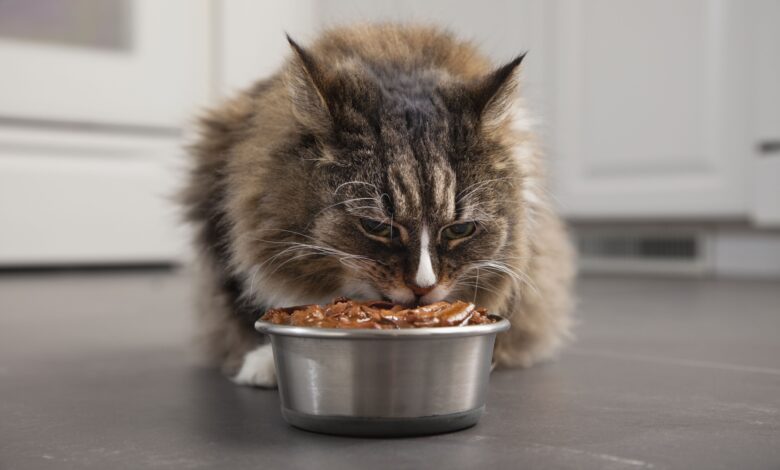 Réponse conditionnée dans le conditionnement classique