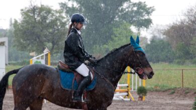 Sécurité à cheval en cas de pluie et de tempête