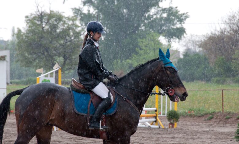 Sécurité à cheval en cas de pluie et de tempête