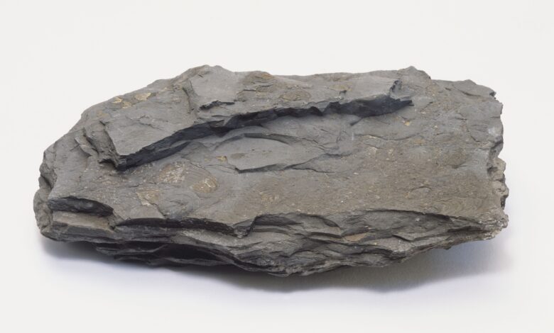 Shale Rock : Géologie, composition, utilisations