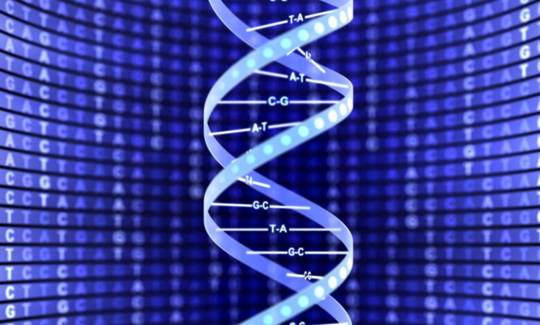 Structure à double hélice de l'ADN