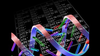 Tableau des codes génétiques et des codons de l'ARN