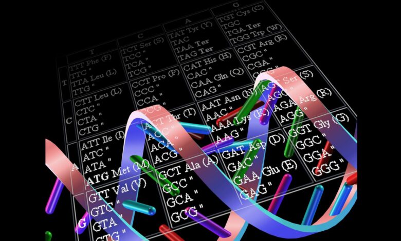 Tableau des codes génétiques et des codons de l'ARN