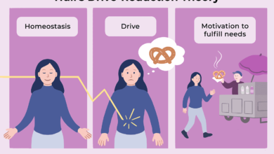 Théorie de la réduction de la conduite et comportement humain