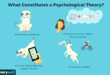 Types de théories psychologiques