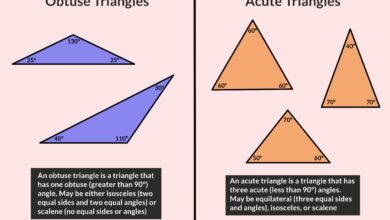 Types de triangles : Aigu et obtus