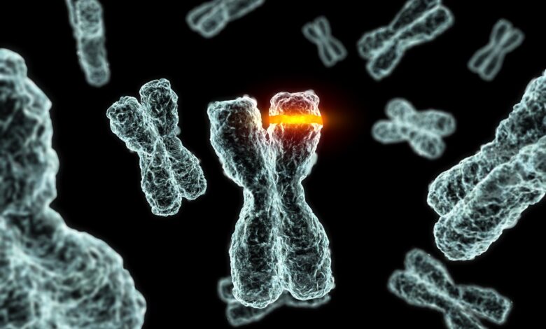 Types et exemples de mutations de l'ADN