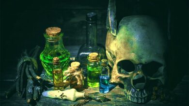 The Deadly Elixir of Life – Was a Shot at Immortality Worth the Risk?
