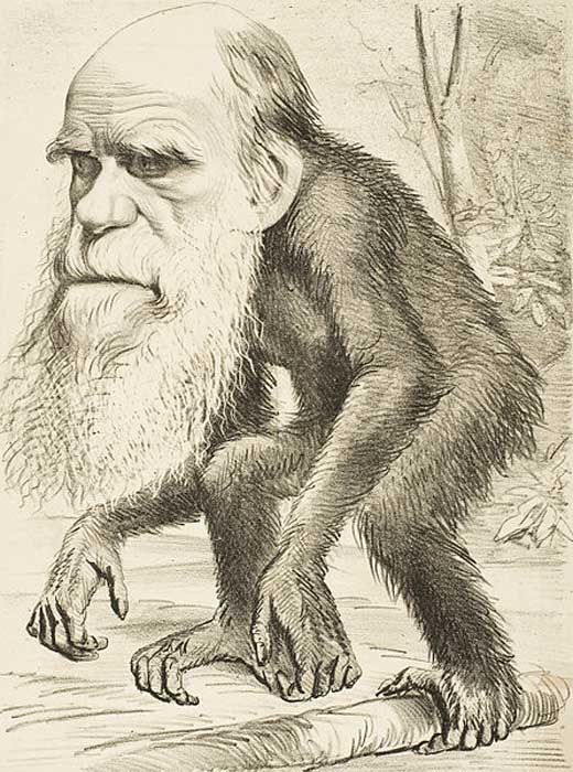 Alors que l'évolution était largement acceptée dans les années 1870, les caricatures de Charles Darwin avec un singe ou un corps de singe symbolisaient l'évolution.