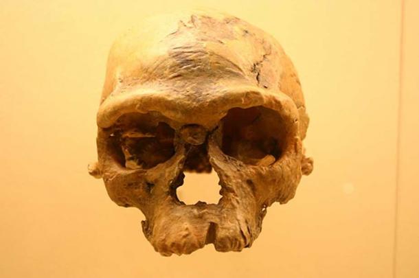 Irhoud 1, environ 160 000 ans, Musée d'histoire naturelle du Smithsonian. (Ryan Somma/CC BY SA 2.0)