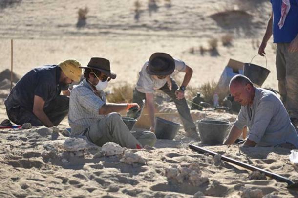 Des centaines d'outils et d'os d'animaux ont été trouvés, mais un seul fossile humain. (Projet Klint Janulis/Michael Petraglia/Palaeodeserts)