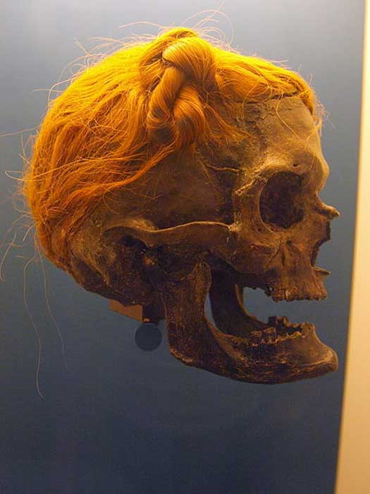 Osterby Man avec des cheveux attachés dans un nœud suève. Au Musée régional de l'archéologie. (CC BY 3.0)