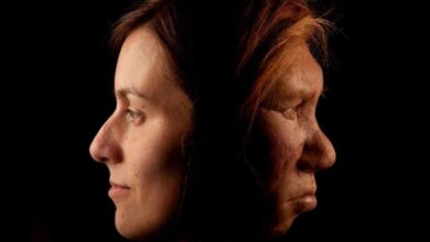 A modern human, left, and Neanderthal woman, right.