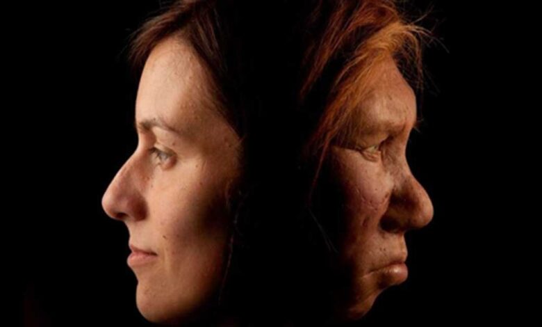 A modern human, left, and Neanderthal woman, right.