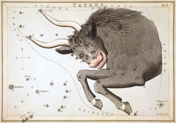 Taureau la constellation du taureau (domaine public)