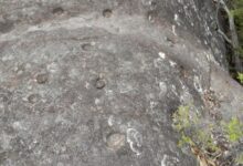 Aboriginal Rock Art - Astronomy