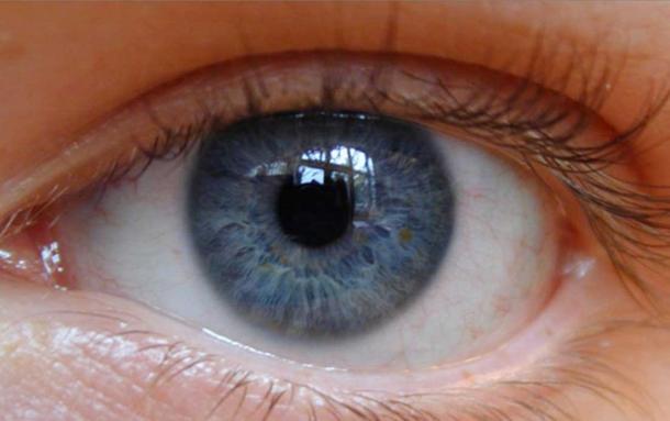 Les yeux bleus sont apparus comme une mutation génétique il y a environ 10 000 ans.