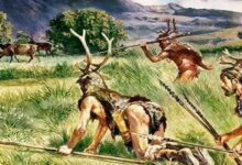 Artist's impression of prehistoric hunters.