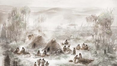 A scientific illustration of what the Upward Sun River camp, where the remains of the ancient child were discovered, would have looked like. Source: Eric Carlson in collaboration with Ben Potter.