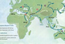 Map of sites and postulated migratory pathways associated with modern humans dispersing across Asia during the Late Pleistocene.