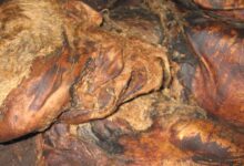 Close up of Lindow Man.      Source: Verity / CC BY-SA 2.0.