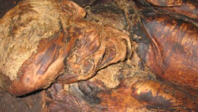 Close up of Lindow Man.      Source: Verity / CC BY-SA 2.0.