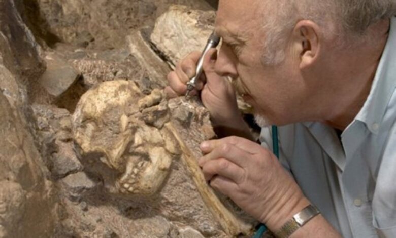 Professor Ron Clarke busy excavating the Little Foot Skull from the Sterkfontein Caves.