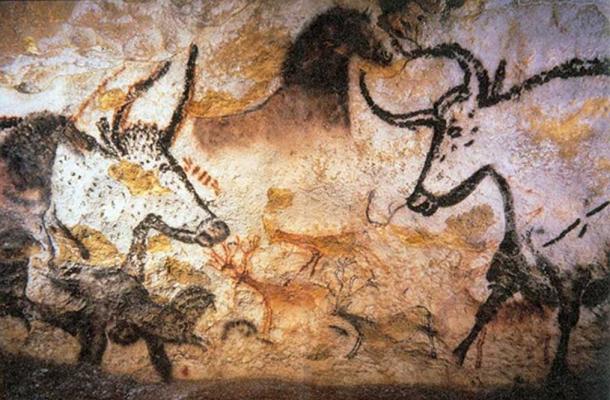 Photographie de la peinture des animaux des grottes de Lascaux. 