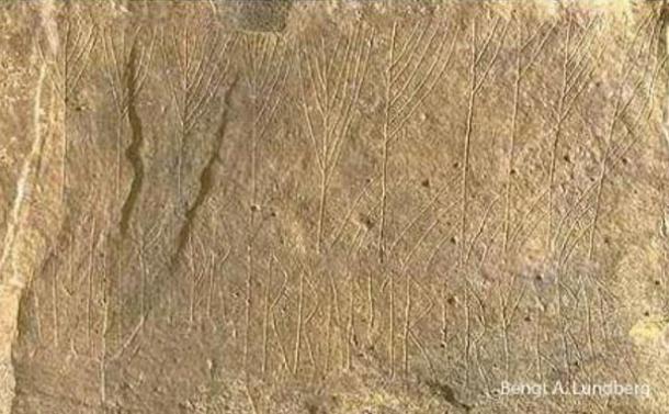 L'inscription runique dans la chambre funéraire de l'âge de pierre sur les Orcades.