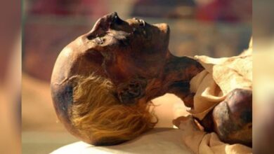 The mummified body of Egyptian Pharaoh Ramses the Great.