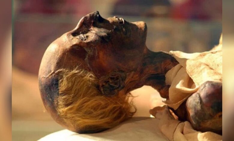 The mummified body of Egyptian Pharaoh Ramses the Great.