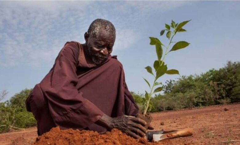 Yacouba Sawadogo planting.